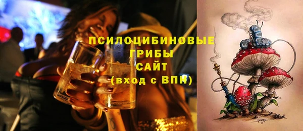 стаф Алексин
