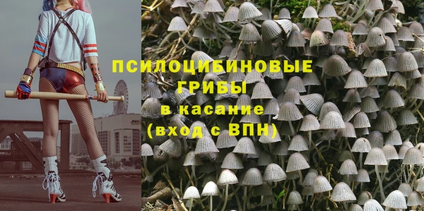 стаф Алексин